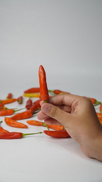 Des piments rouges frais sur un fond blanc