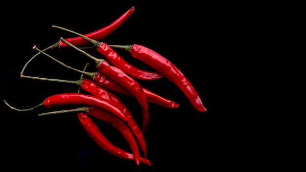 Piments rouges sur une tige