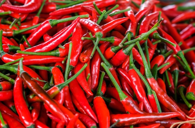 Piments rouges, vue de dessus gros plan