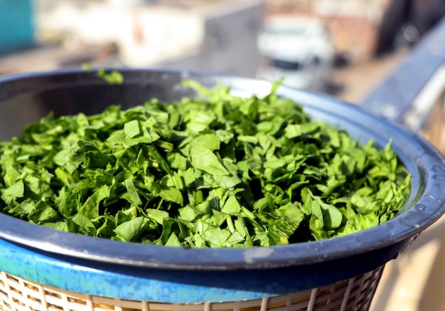 Épinards finement hachés et coupés pour le curry d'épinards indien en t