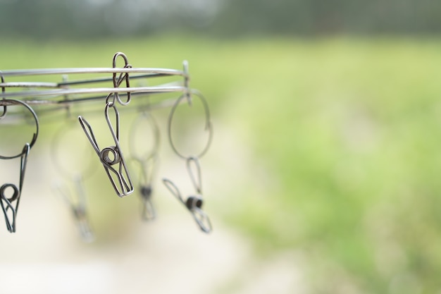 Photo pince à linge dans le jardin verdoyant