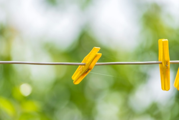 Pinces à linge sur fond vert flou