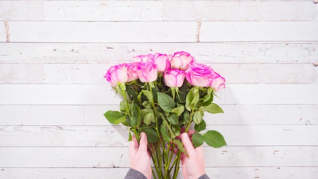 Pink Roses