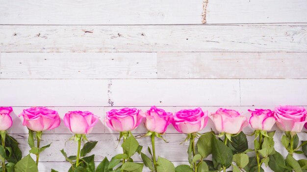 Pink Roses