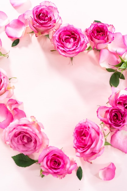 Photo pink roses