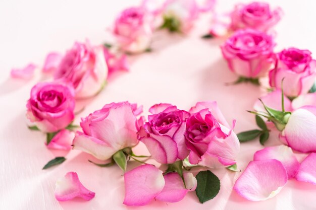 Pink Roses