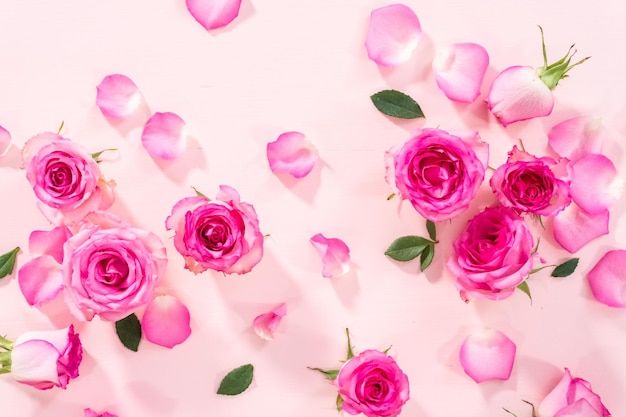 Pink Roses