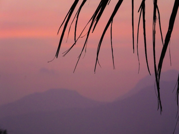 Pink Sunset at Beach