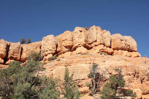 Des pinnacles en danger, des colonnes et des hoodoos dans le canyon rouge du NP dans l'Utah