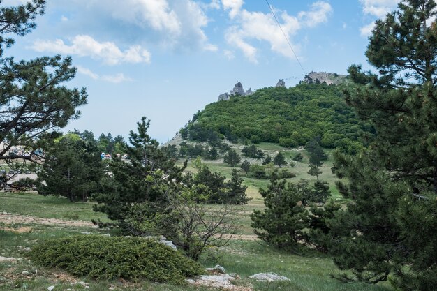 Pins de Crimée courbés par le vent sur un rocher ensoleillé Au loin des montagnes couvertes de forêts