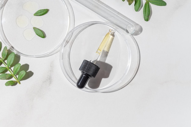 La pipette du compte-gouttes avec de l'huile essentielle se trouve dans la boîte de Pétri avec du gel cosmétique Vue de dessus Ingrédients naturels d'herbes cosmétiques liquides