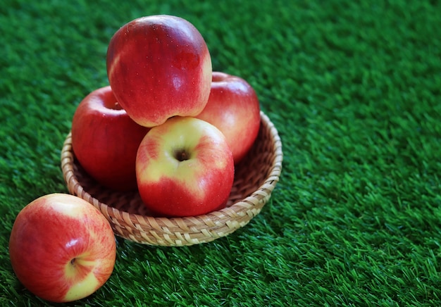 Un pique-nique aux pommes rouges et jaunes dans un panier sur l&#39;herbe