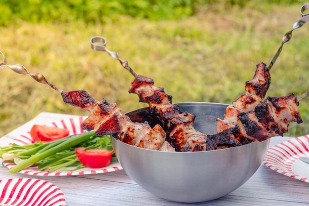 Pique-nique dans la nature barbecue cuit et légumes aux herbes sur la table