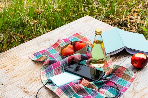 Photo pique-nique dans la nature par une journée ensoleillée chargement de smartphone à partir de la banque d'alimentation réserver des fruits et des boissons