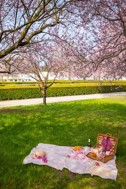 Pique-nique dans le parc sous les cerisiers en fleurs avec fruits, vin, pain et croissants