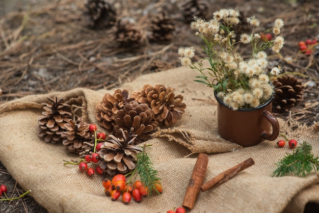 Pique-nique dans une pinède. Un cercle vintage en métal avec des fleurs de forêt, des branches d'épinette, des bâtons de cannelle et des cônes sur une nappe de village. Nouvel an et fond de Noël, carte postale