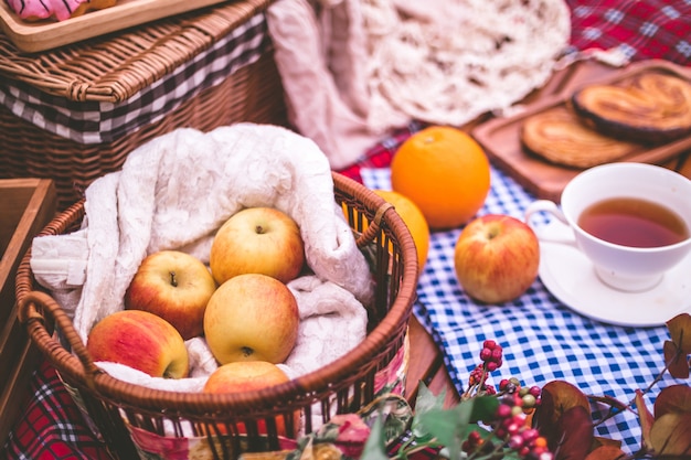 Pique-nique estival avec un panier de nourriture sur une couverture dans le parc.