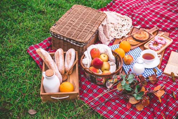 Pique-nique estival avec un panier de nourriture sur une couverture dans le parc.