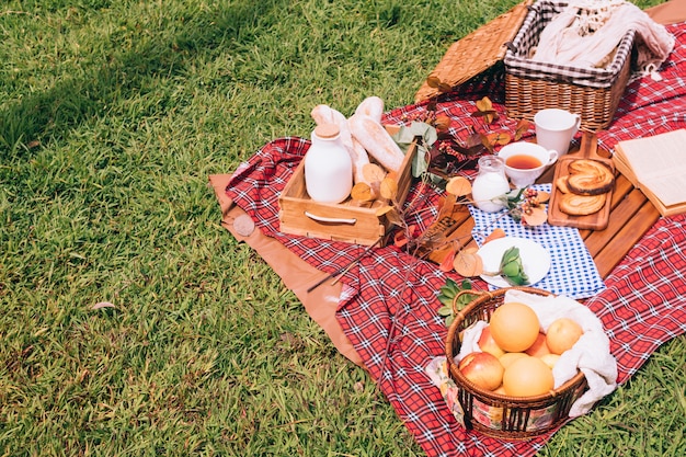 Pique-nique d'été avec un panier de nourriture sur une couverture dans le parc. Espace libre pour le texte