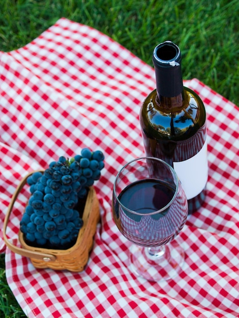 Pique-nique avec vin rouge dans le parc.