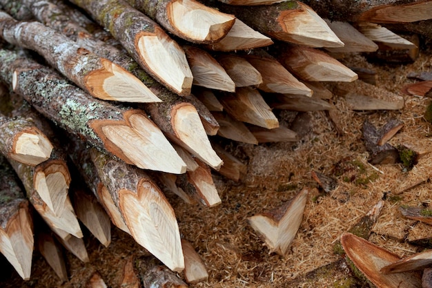 Piquets en bois sculpté