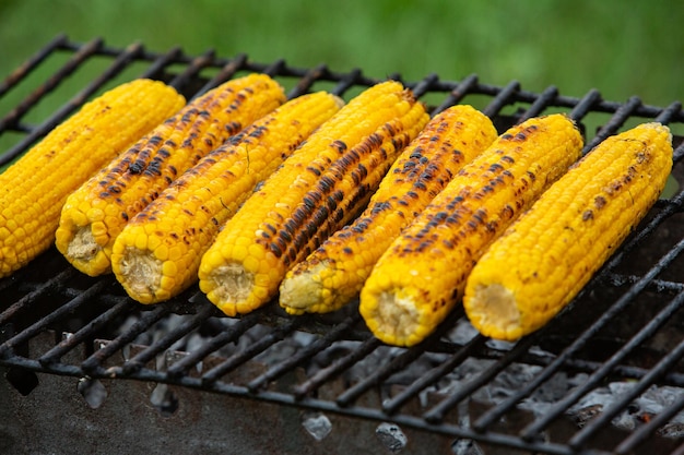 Épis de maïs frais rôtis ou grillés.