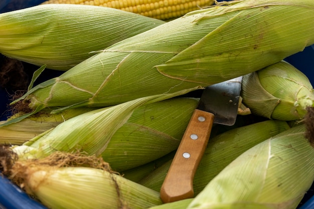 Épis de maïs sur plateau avec couteau.