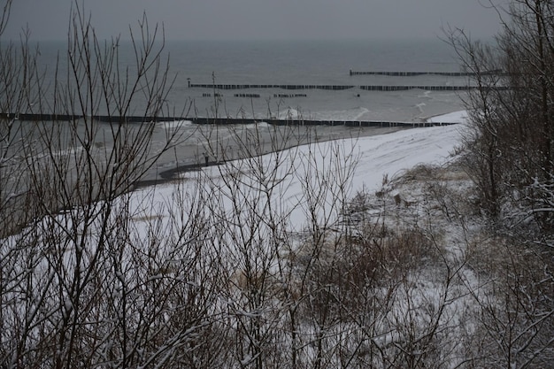 Épis sur un rivage Mer Baltique Pologne hiver