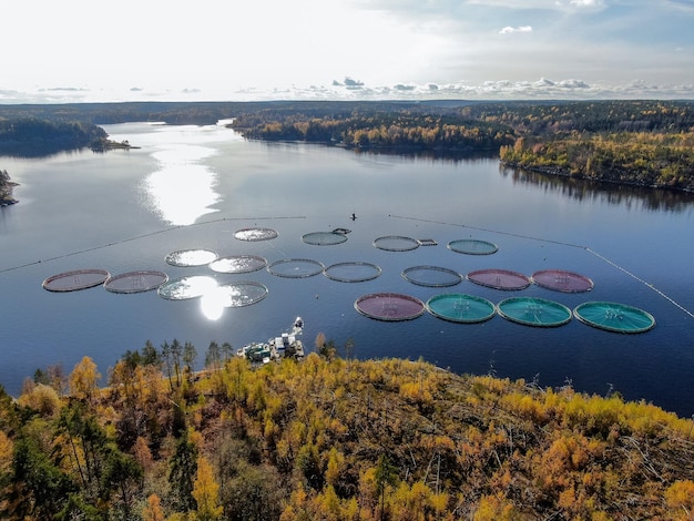 Photo pisciculture dans la réserve du lac ladoga photo de haute qualité