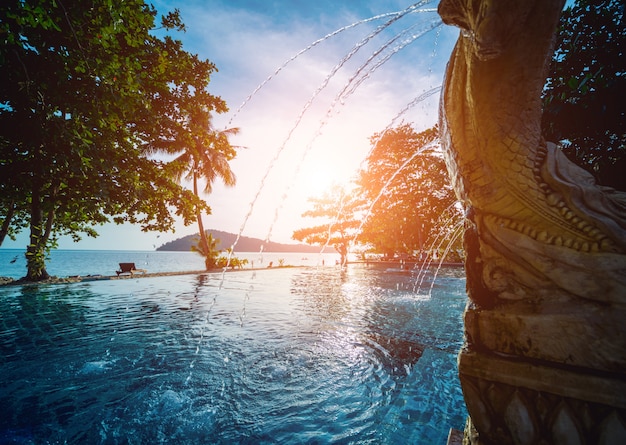 Piscine au complexe tropical exotique. Jardin exotique.