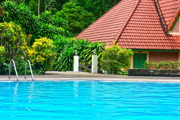 Piscine au milieu de la nature et de la forêt