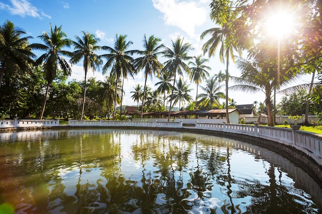 Piscine dans le jardin