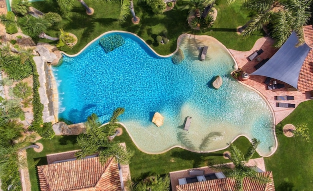 Piscine décorative originale dans le jardin avec palmiers, vue aérienne.