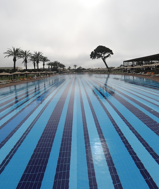 piscine de l'hôtel de villégiature avec palmiers