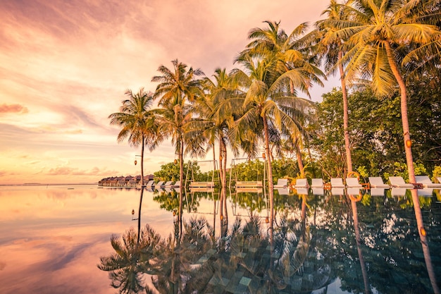 Piscine de luxe sur la plage scène tranquille du paysage tropical d'été exotique avec espace de copie