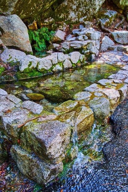 Piscine naturelle artificielle d'eau débordant sur le chemin