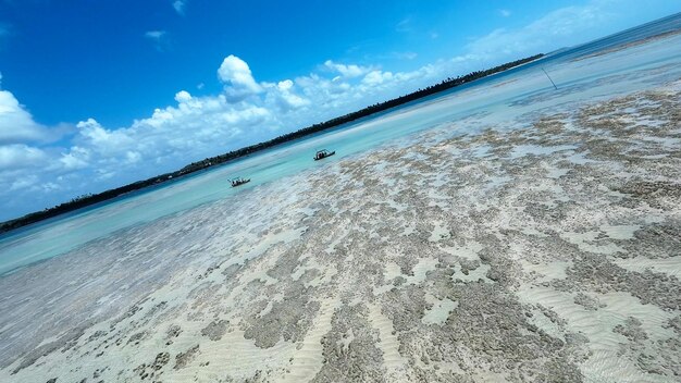 La piscine naturelle de Patacho à Sao Miguel Dos Milagres à Alagoas au Brésil