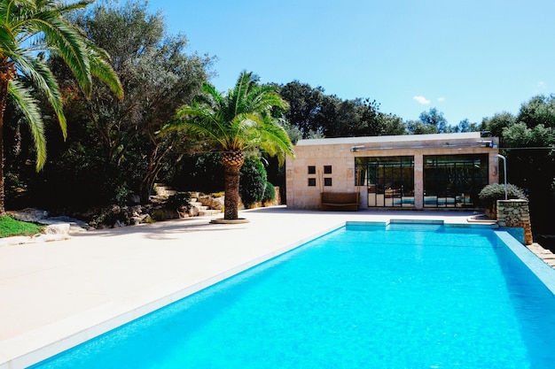 Photo piscine avec palmiers et espace de détente