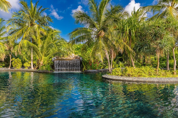 Piscine et plage du complexe tropical Cascade relaxante tranquille et palmiers de réflexion