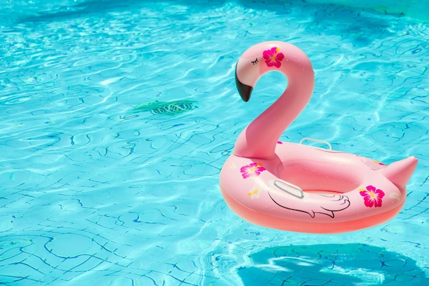 Piscine vide avec anneau de natation Pink Flamingo chill refroidissement été personne ne