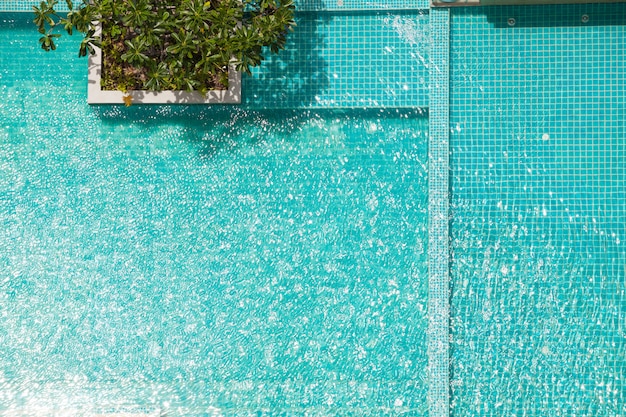 Piscine vue de dessus