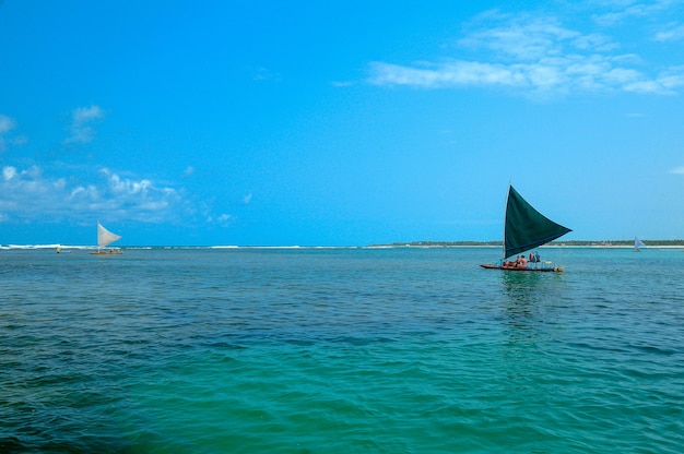 Piscines naturelles avec de petits poissons sur la plage de Porto de Galinhas près de Recife Pernambuco Brésil