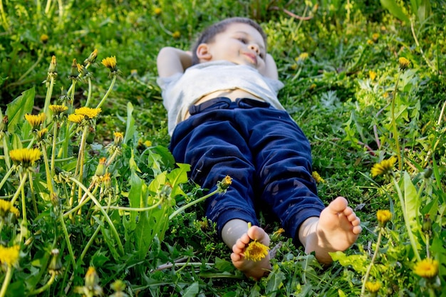 Pissenlit bébé jambes printemps temps ensoleillé