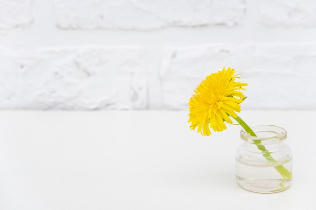 Un pissenlit jaune dans un vase de bouteille sur le mur de briques blanches