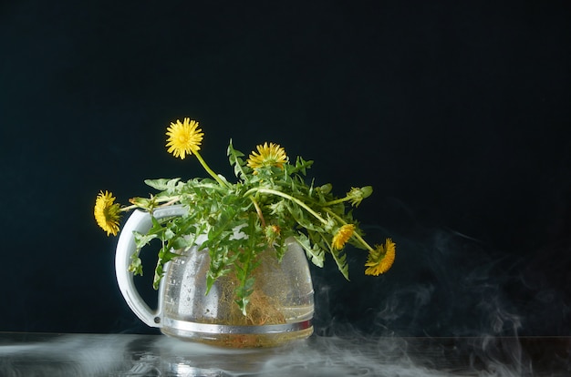 Pissenlit avec des racines et des feuilles dans une théière en verre