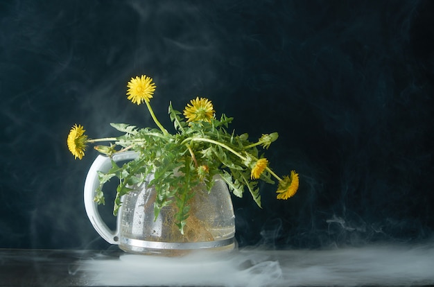 Pissenlit avec des racines et des feuilles dans une théière en verre