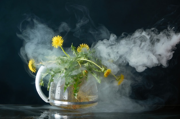 Pissenlit avec des racines et des feuilles dans une théière en verre