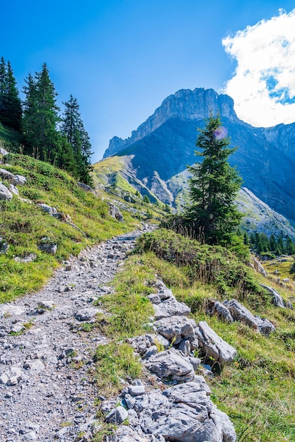 Sur la piste des Alpes bernoises