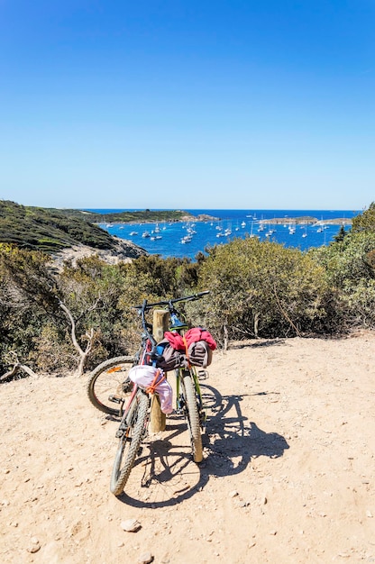 Photo une piste cyclable dans un bois sur l'île de porquerolles