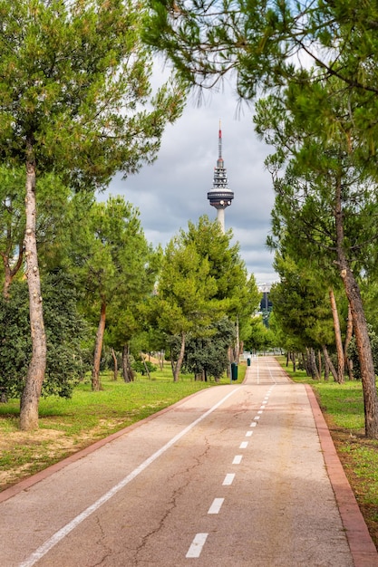 Photo piste cyclable dans la pinède à côté de la tour de communication de madrid